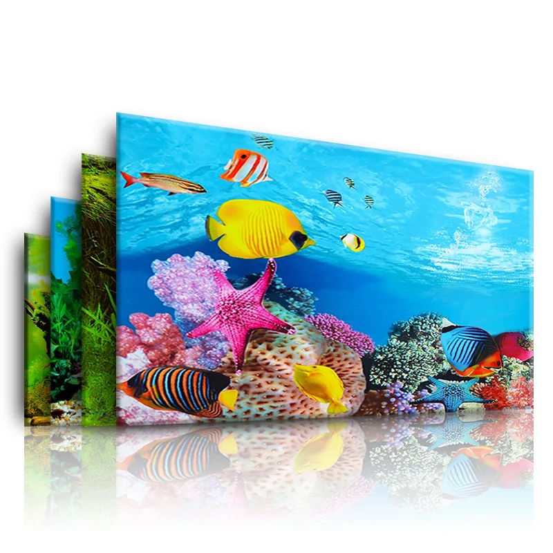 Aquarium Plant Display - Nền Cho Bể Cá 3d Dán