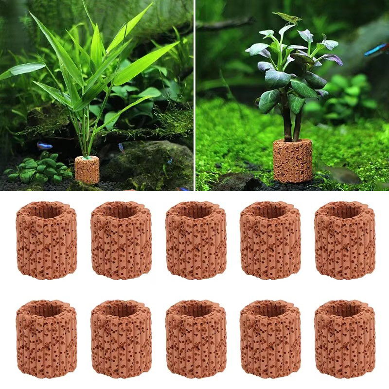 Aquarium Planted Seeds - 20 Chiếc Thủy Sinh Nước Nhẫn