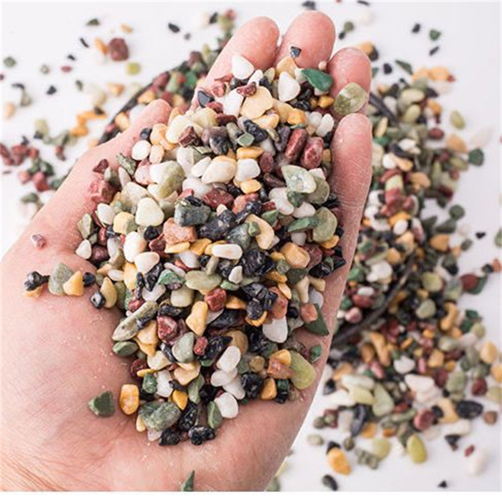 Aquarium Planted Seeds - 50/Tự Nhiên 100G Tinh Thể Sỏi