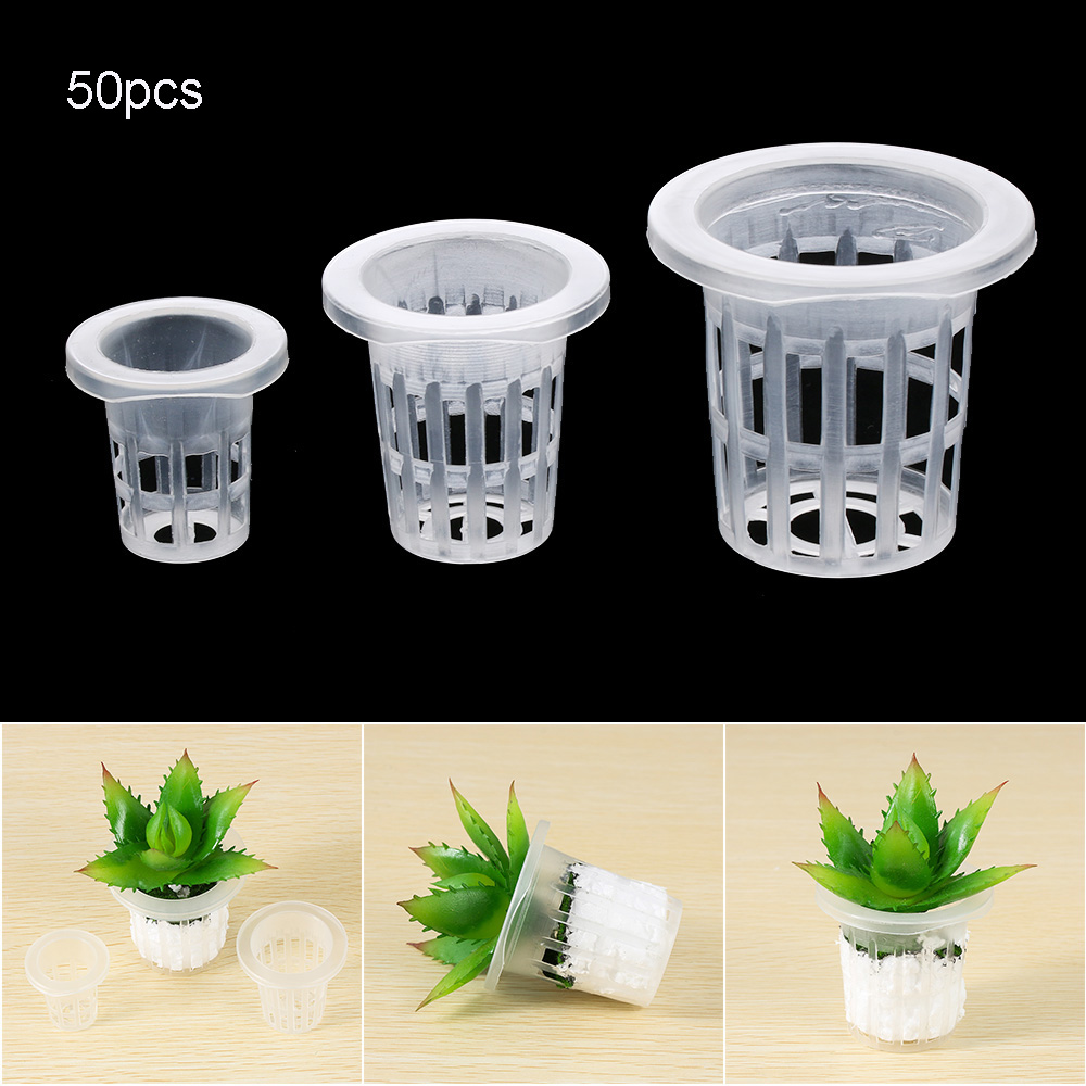 Aquarium Planted Seeds - 10/50pcs Garden Supplies Aquarium Planting Soilless