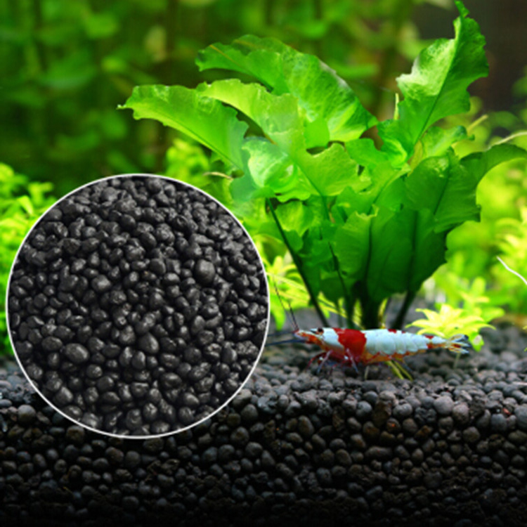 Planted Aquarium Accessories - Bể Cá Cảnh Vật Có Hạt