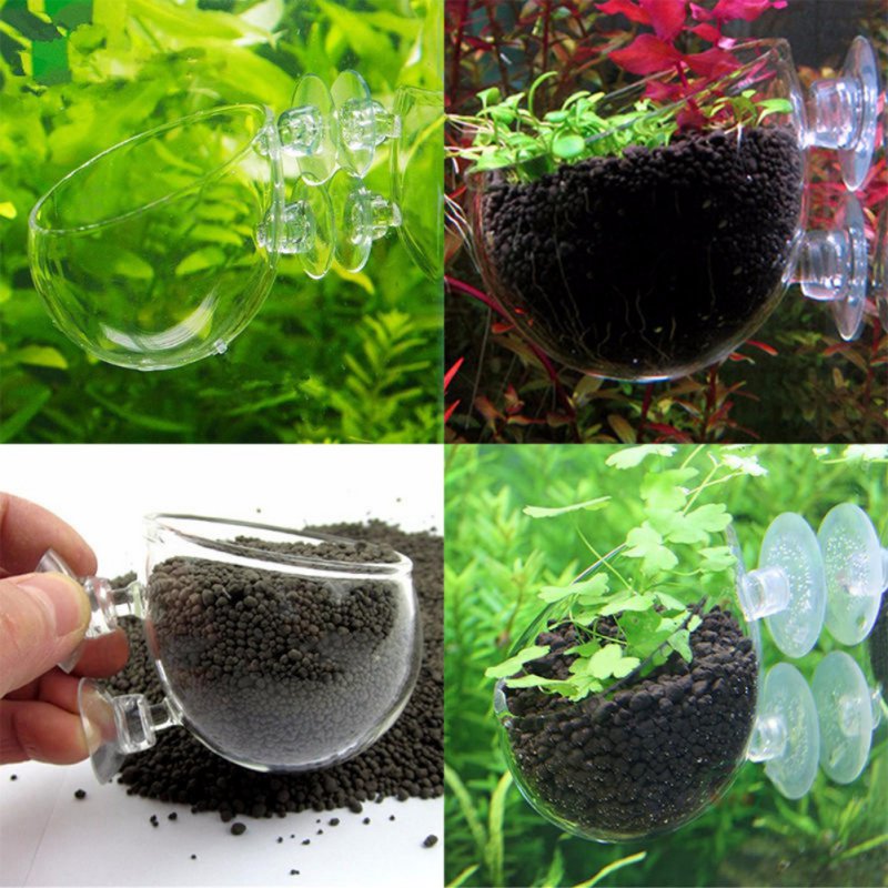 Aquarium Planted Seeds - Aquarium Hanging Plant Pot Glass Cylinder