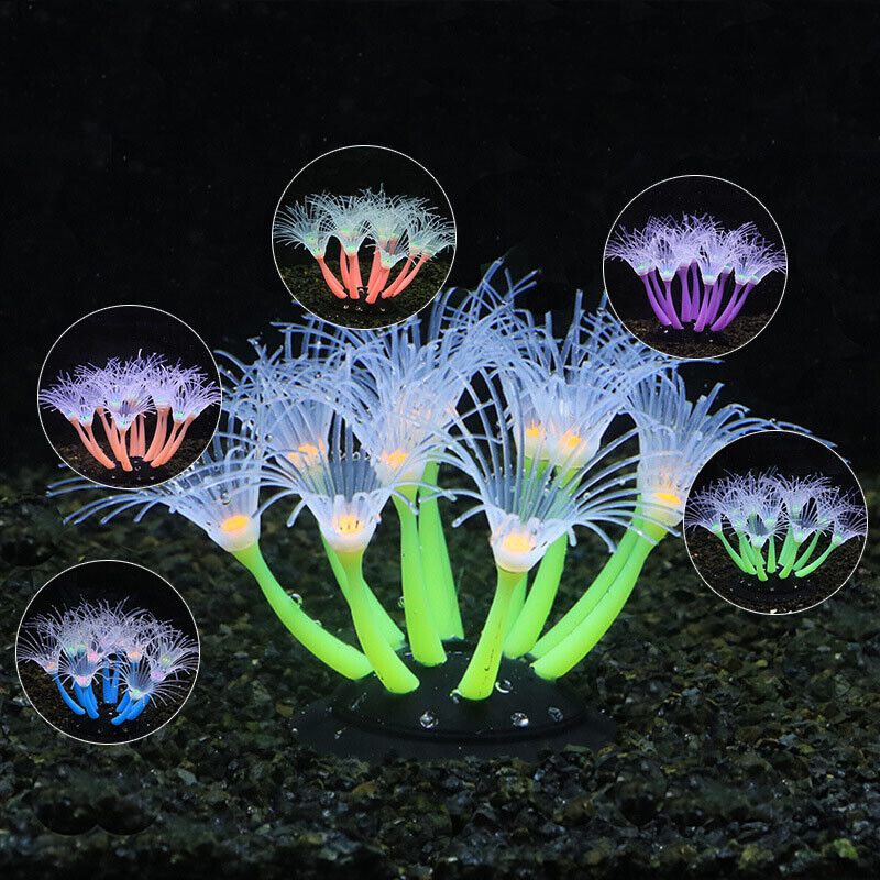 50/75/100CM Linh Hoạt Hải Quỳ  - đánh giá và giá Aquarium Plant Display