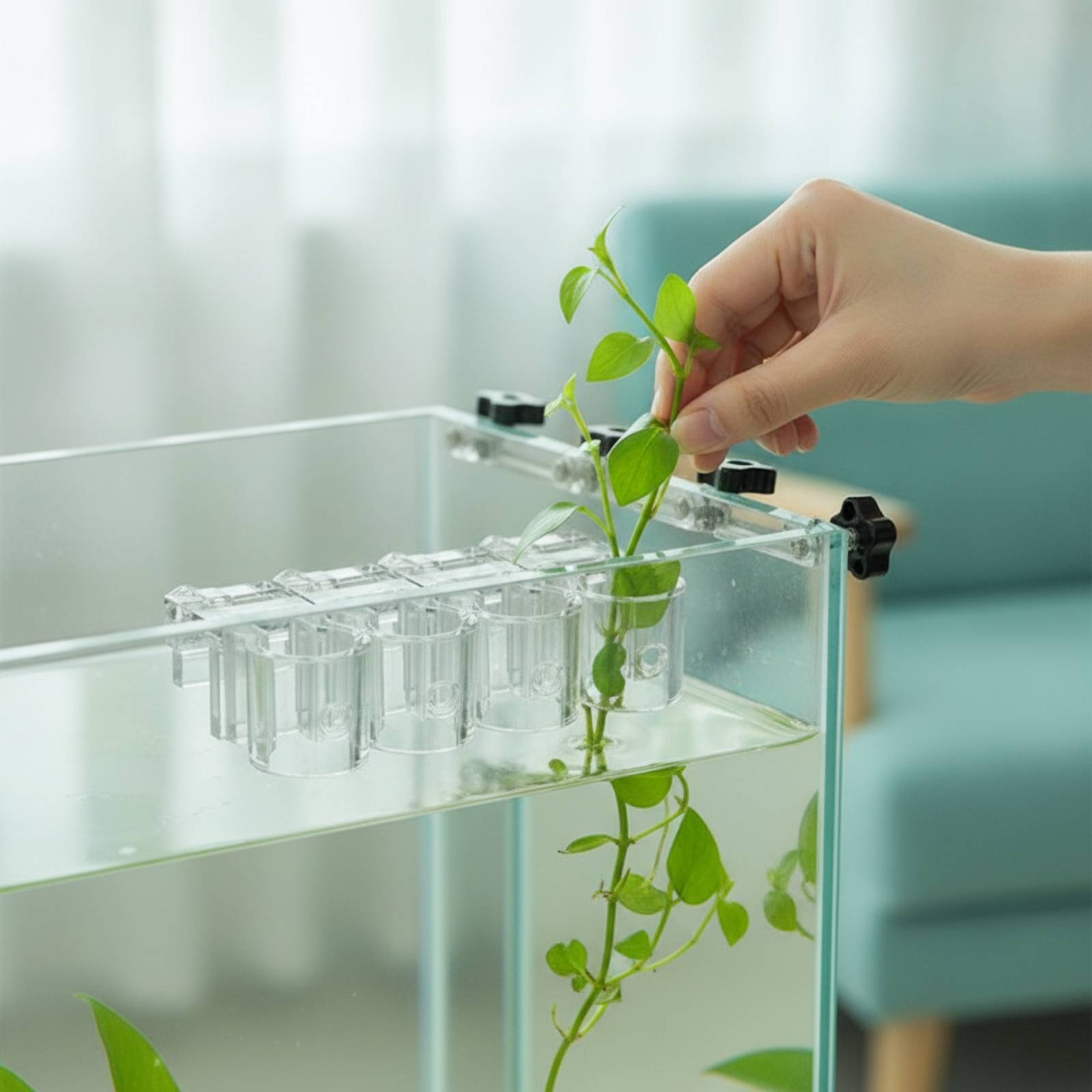 6 Pieces Aquarium Planter Clea - đánh giá và giá Aquarium Plants
