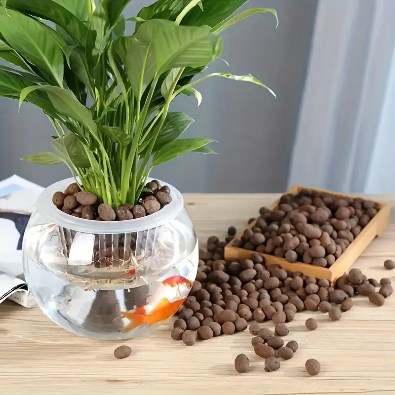 Lightweight & Breathable Terra - đánh giá và giá Aquarium Plants