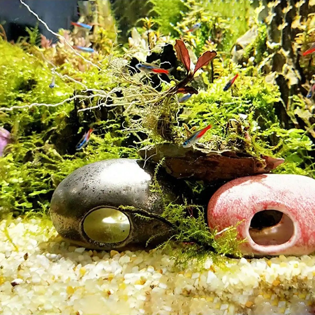 1pc-250g Natural Crystals Grav - đánh giá và giá Aquarium Planted Soil