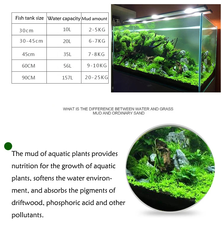 Fish Tank Water Grass Mud Plan - đánh giá và giá Aquarium Planted Seeds