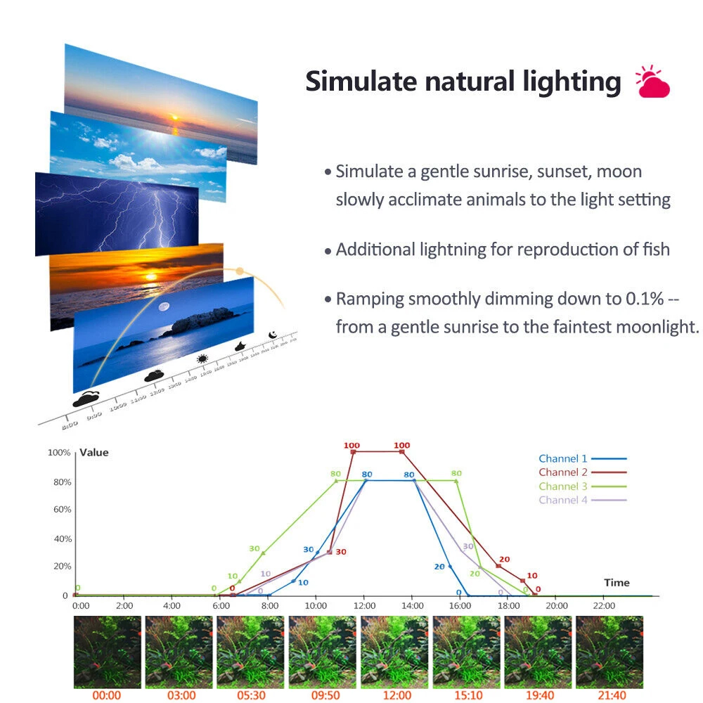 PopBloom Professional Planted  - đánh giá và giá Planted Aquarium Freshwater