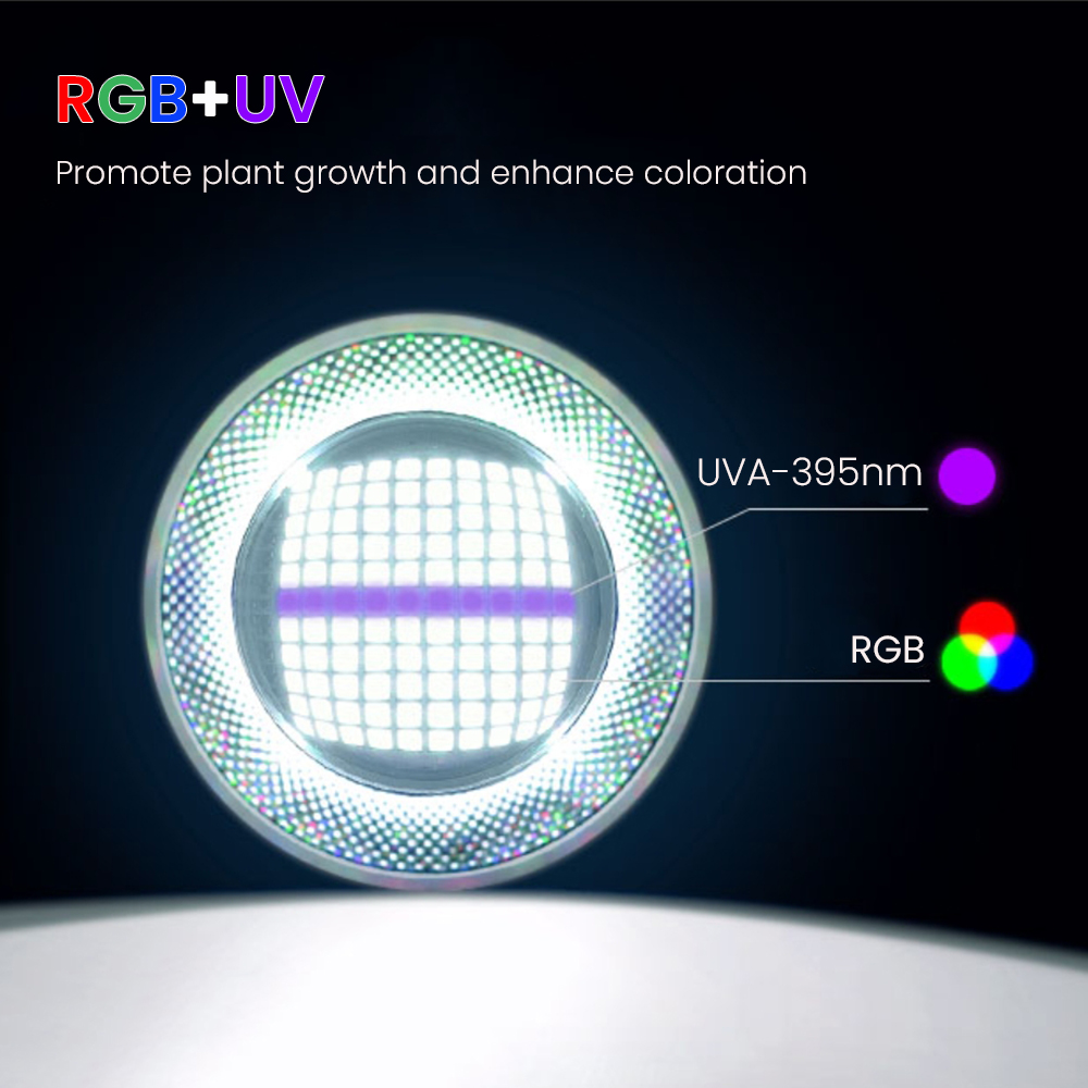 Full Spectrum Bluetooth 3.0 Ap - đánh giá và giá Aquarium Plants