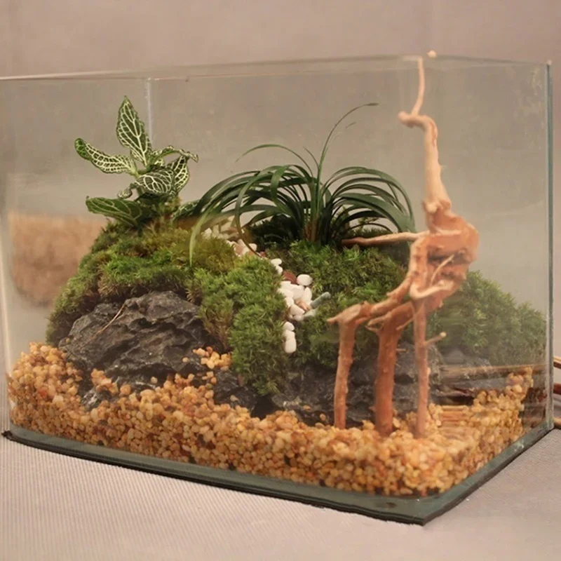 Natural Tree Trunk Driftwood A - đánh giá và giá Aquarium Planted Soil