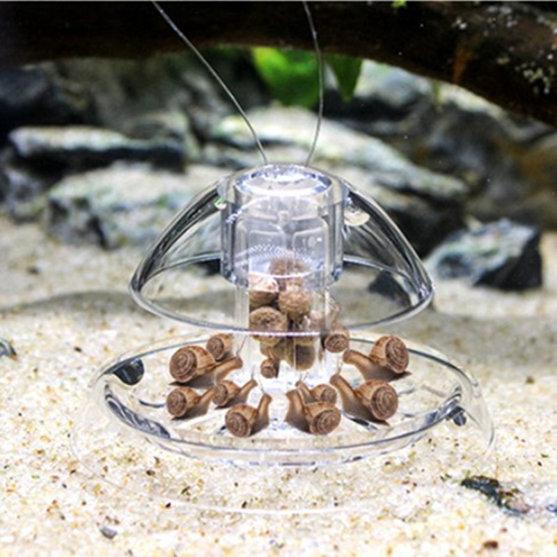 1PCS Fish Tank Aquarium Cleane - đánh giá và giá Planted Aquarium Cleaning