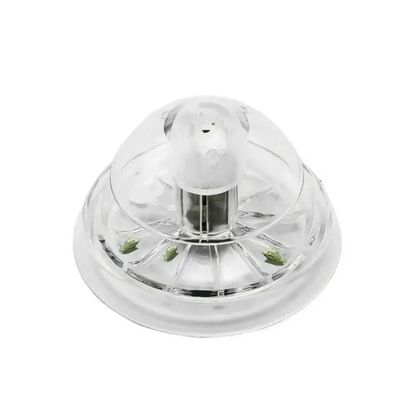 2026 New 6/8CM Clear Plastic S - đánh giá và giá Aquarium Plants