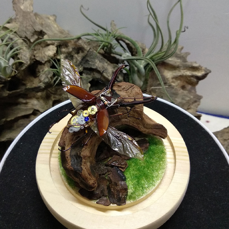 Hot Selling New Fish Tank Deco - đánh giá và giá Aquarium Planted Soil