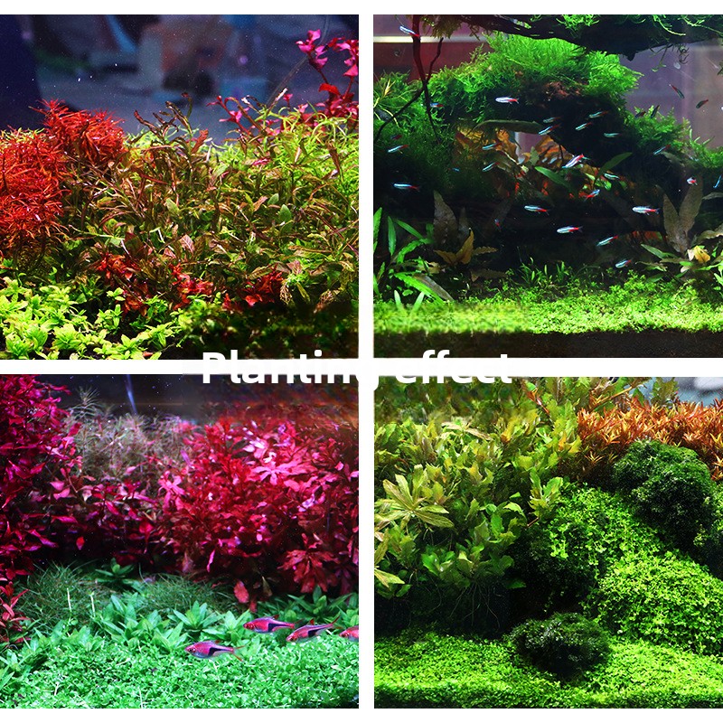 SYSENCIAGA Planted Aquarium Su - đánh giá và giá Aquarium Planted Soil
