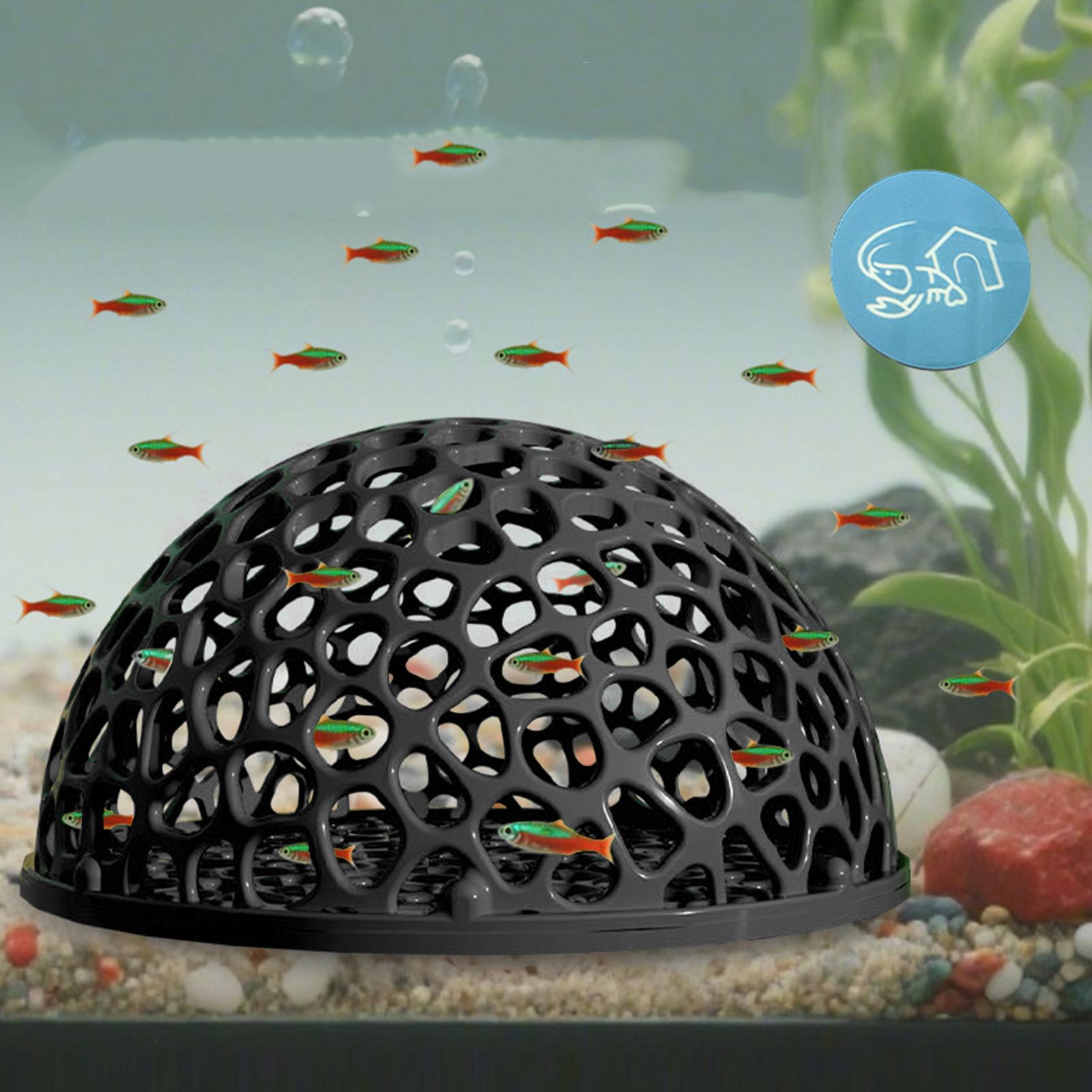 Aquarium Hiden Cave Shelter fo - đánh giá và giá Aquarium Planted Seeds