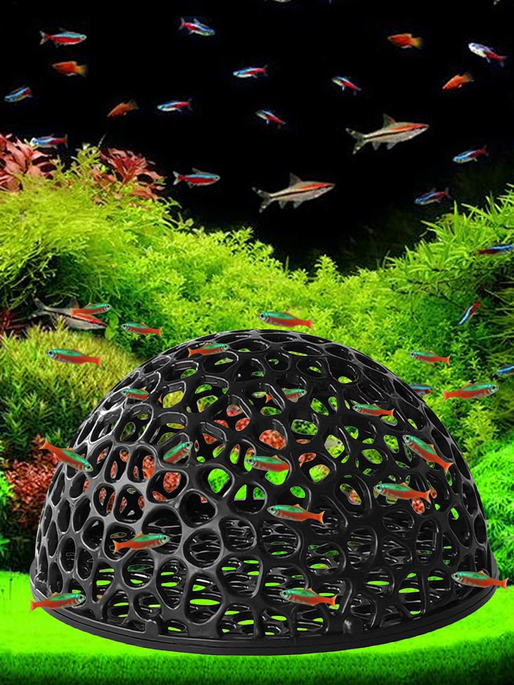 Aquarium Hiden Cave Shelter fo - đánh giá và giá Aquarium Planted Seeds