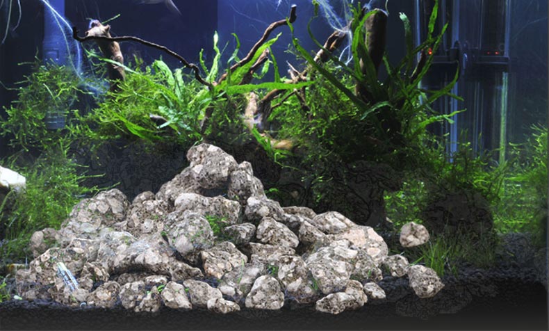 Maifan Đá Maifanite Mọng Nước  - đánh giá và giá Aquarium Planted Soil