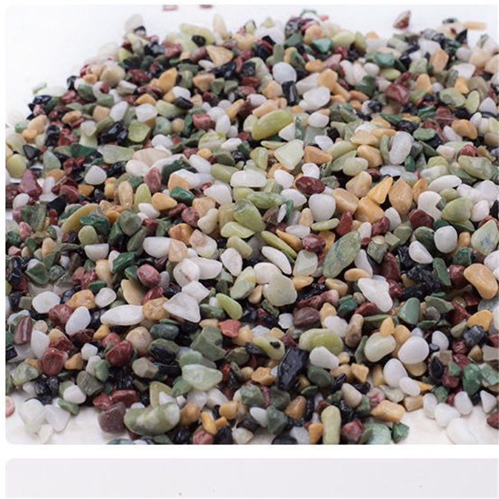 50/Tự Nhiên 100G Tinh Thể Sỏi  - đánh giá và giá Aquarium Planted Seeds