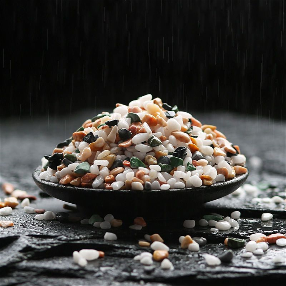 50/Tự Nhiên 100G Tinh Thể Sỏi  - đánh giá và giá Aquarium Planted Seeds