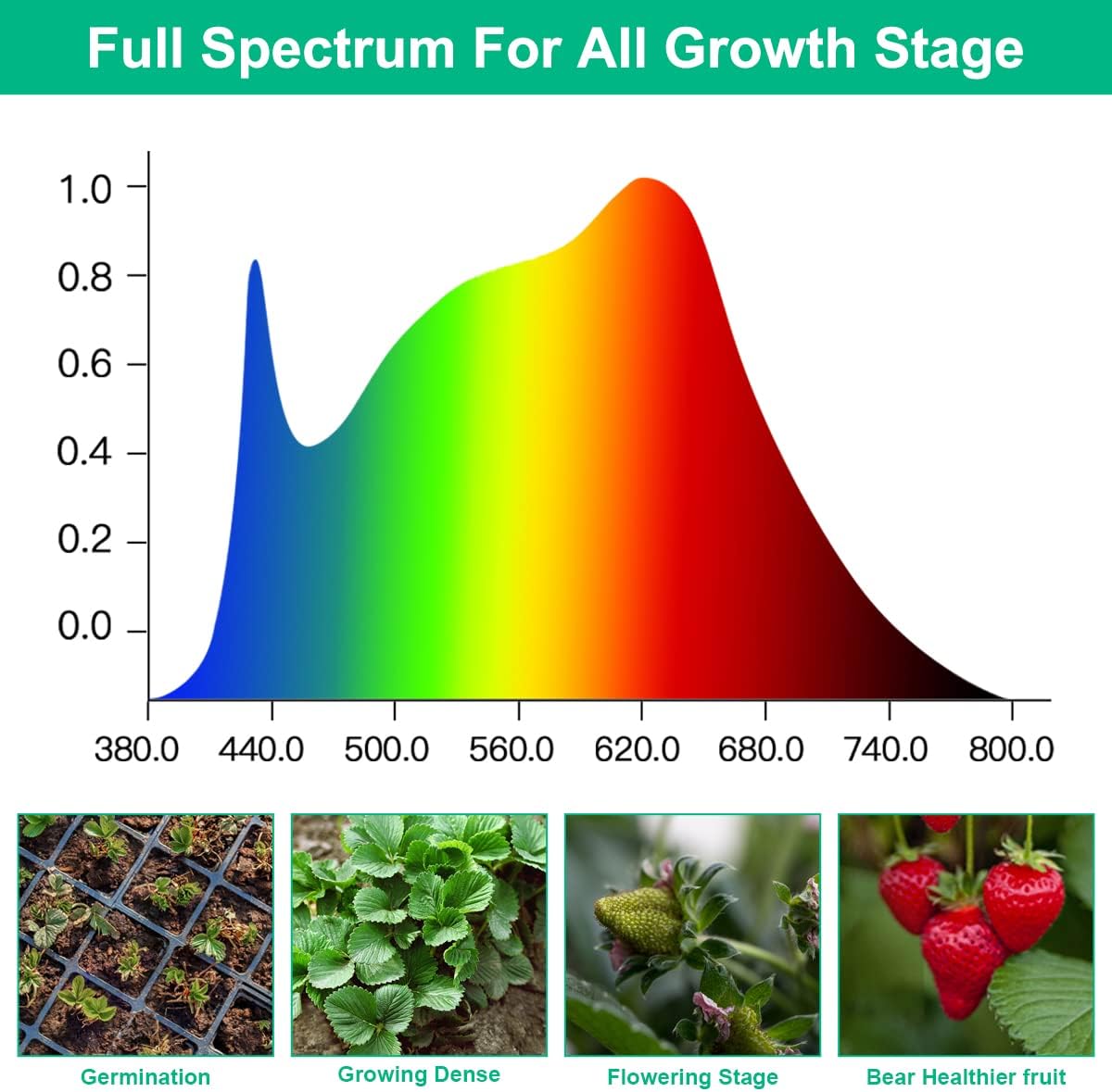LED Grow Lamps Plant Full Spec - đánh giá và giá Aquarium Planted Seeds