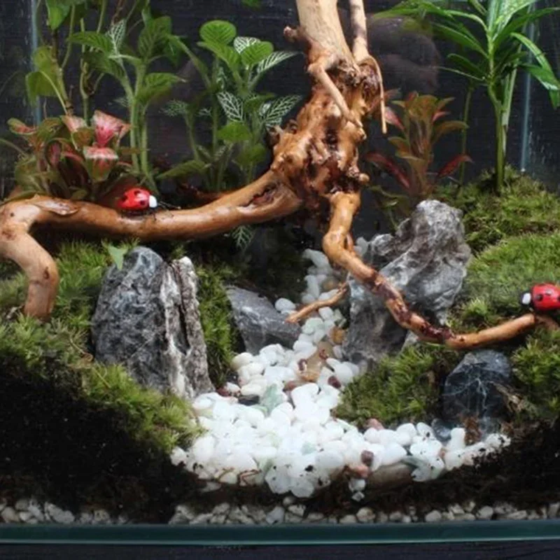 Natural Tree Trunk Driftwood A - đánh giá và giá Aquarium Planted Soil