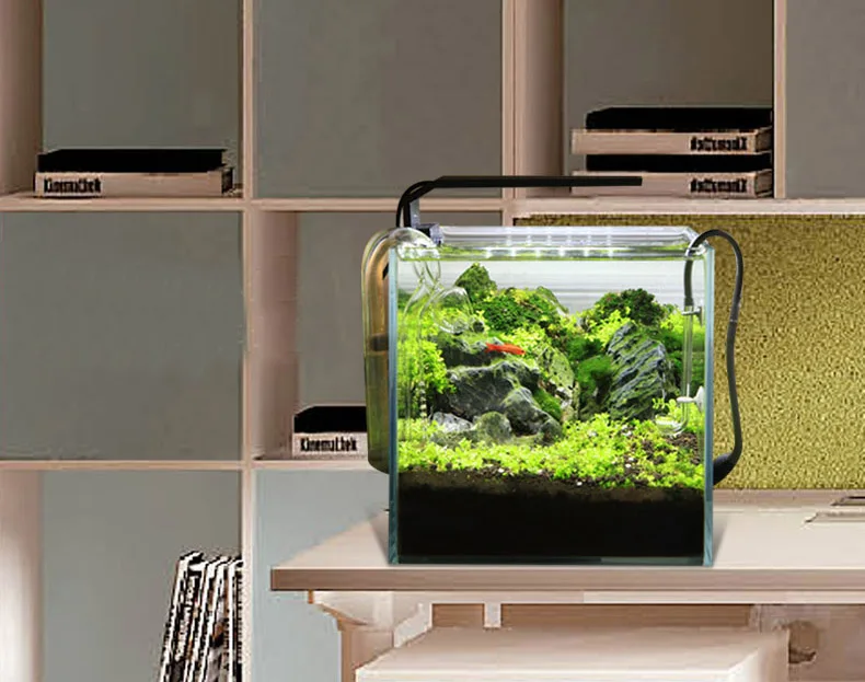 Chihiros C Series ADA Style Pl - đánh giá và giá Aquarium Plant Display