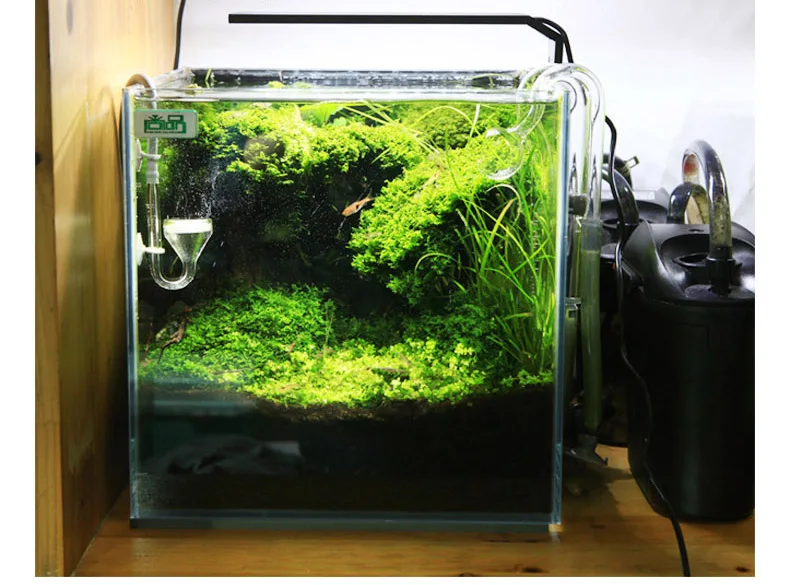 Chihiros C Series ADA Style Pl - đánh giá và giá Aquarium Plant Display