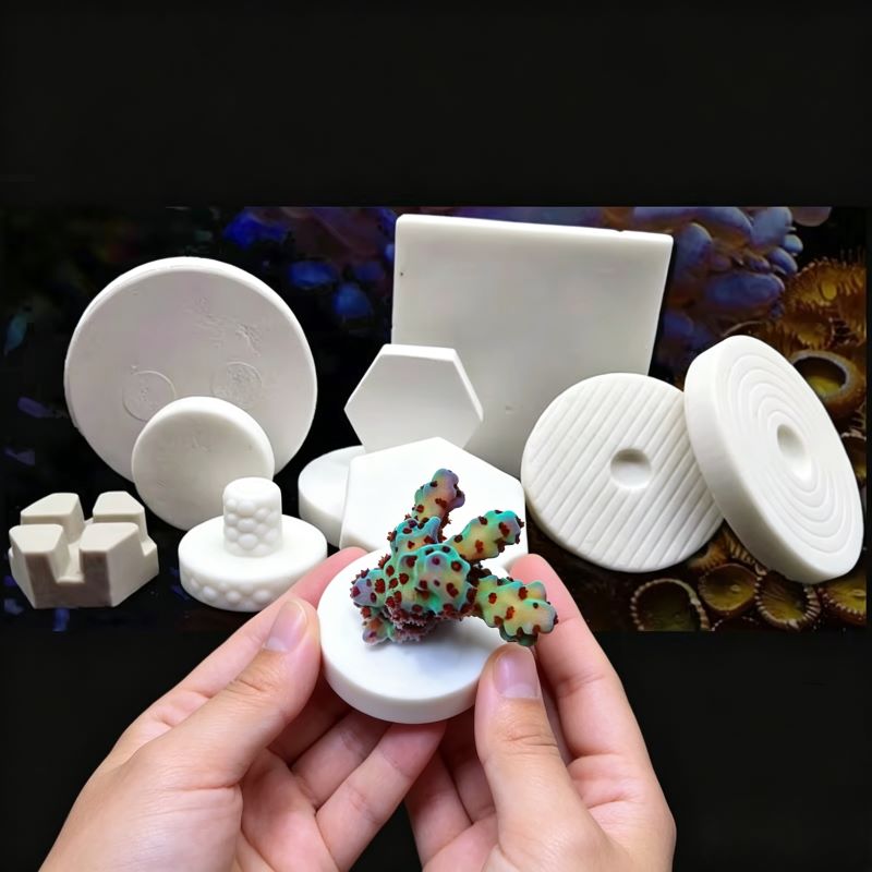 SPS Ceramic Coral Frag Plugs B - đánh giá và giá Aquarium Plant Display