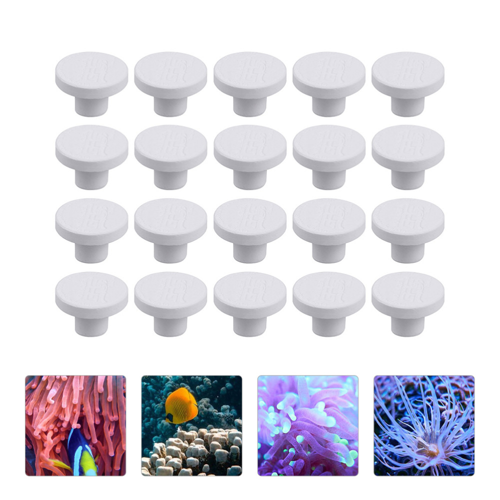 SPS Ceramic Coral Frag Plugs B - đánh giá và giá Aquarium Plant Display