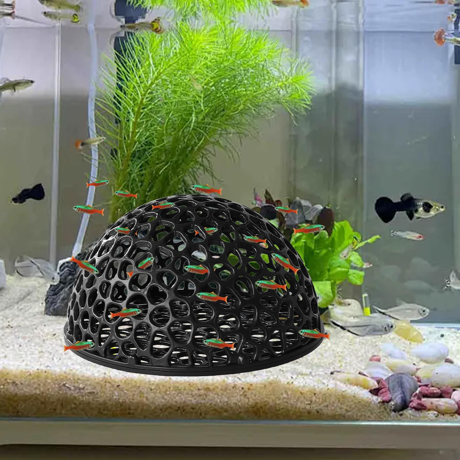 Aquarium Shrimp Hide Aquarium  - đánh giá và giá Aquarium Planted Seeds