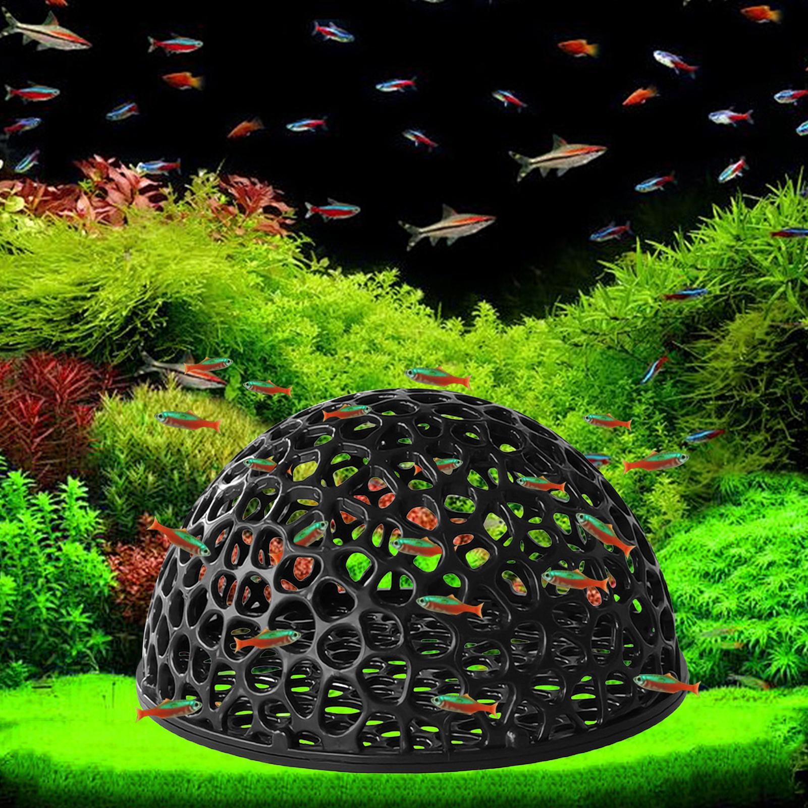 Aquarium Shrimp Hide Aquarium  - đánh giá và giá Aquarium Planted Seeds