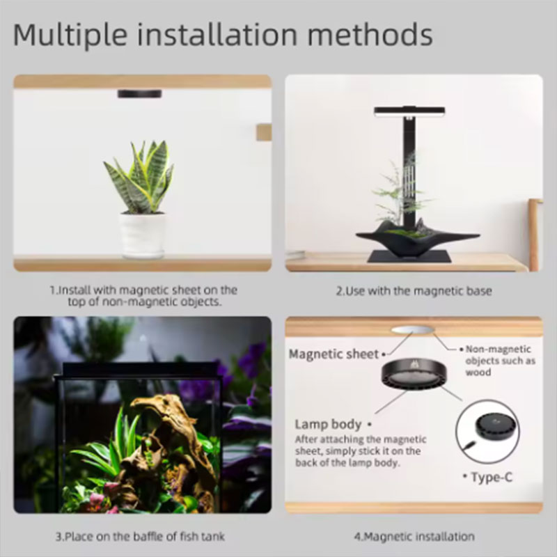 Sunsun Hộp Thay Thế Lõi Lọc Nư - đánh giá và giá Aquarium Plant Display