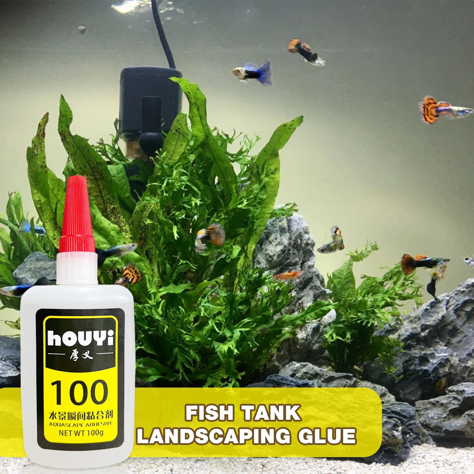 50/100g Clear Instant Glue Aqu - đánh giá và giá Aquarium Plants