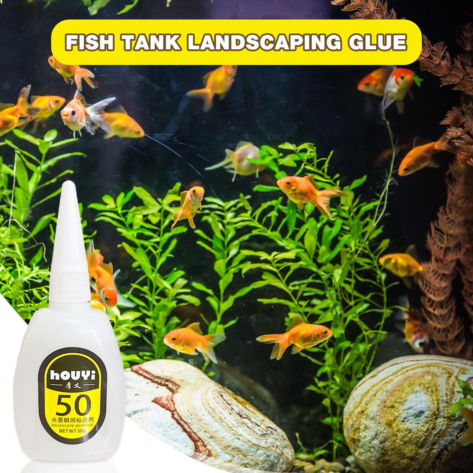 50/100g Clear Instant Glue Aqu - đánh giá và giá Aquarium Plants