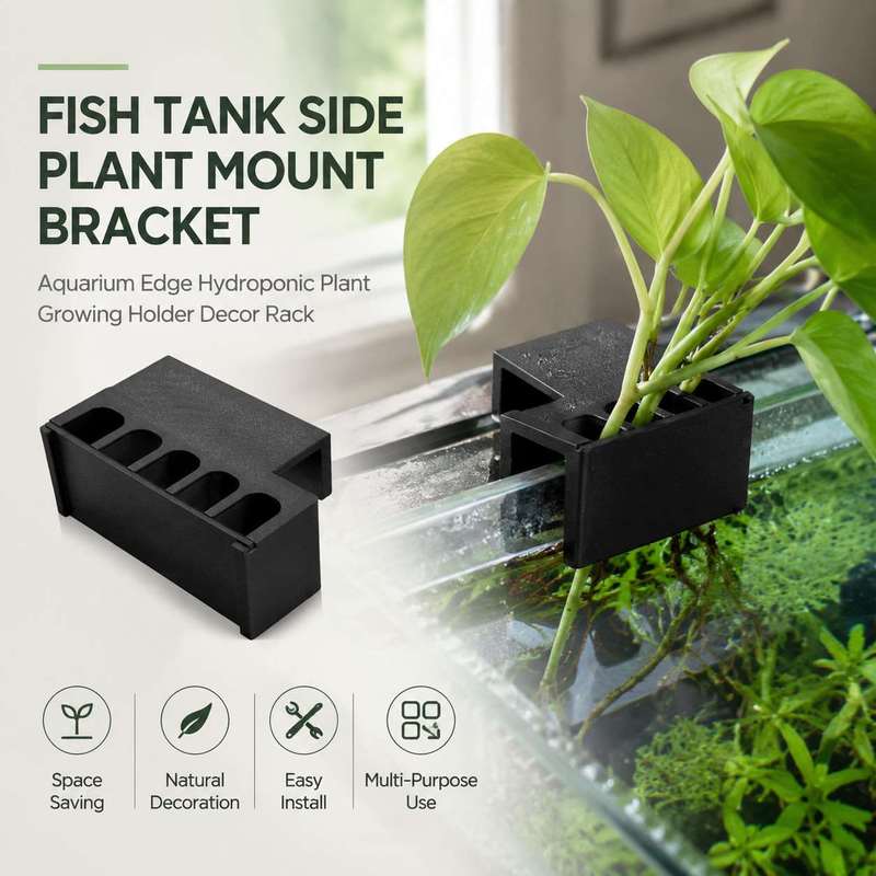 Fish Tank Side Plant Mount Bra - đánh giá và giá Aquarium Plant Display
