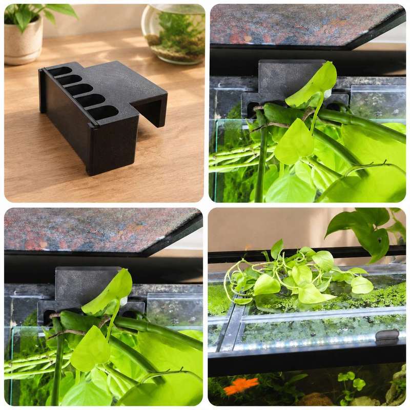 Fish Tank Side Plant Mount Bra - đánh giá và giá Aquarium Plant Display
