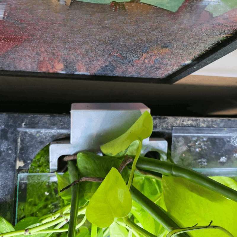 Fish Tank Side Plant Mount Bra - đánh giá và giá Aquarium Plant Display