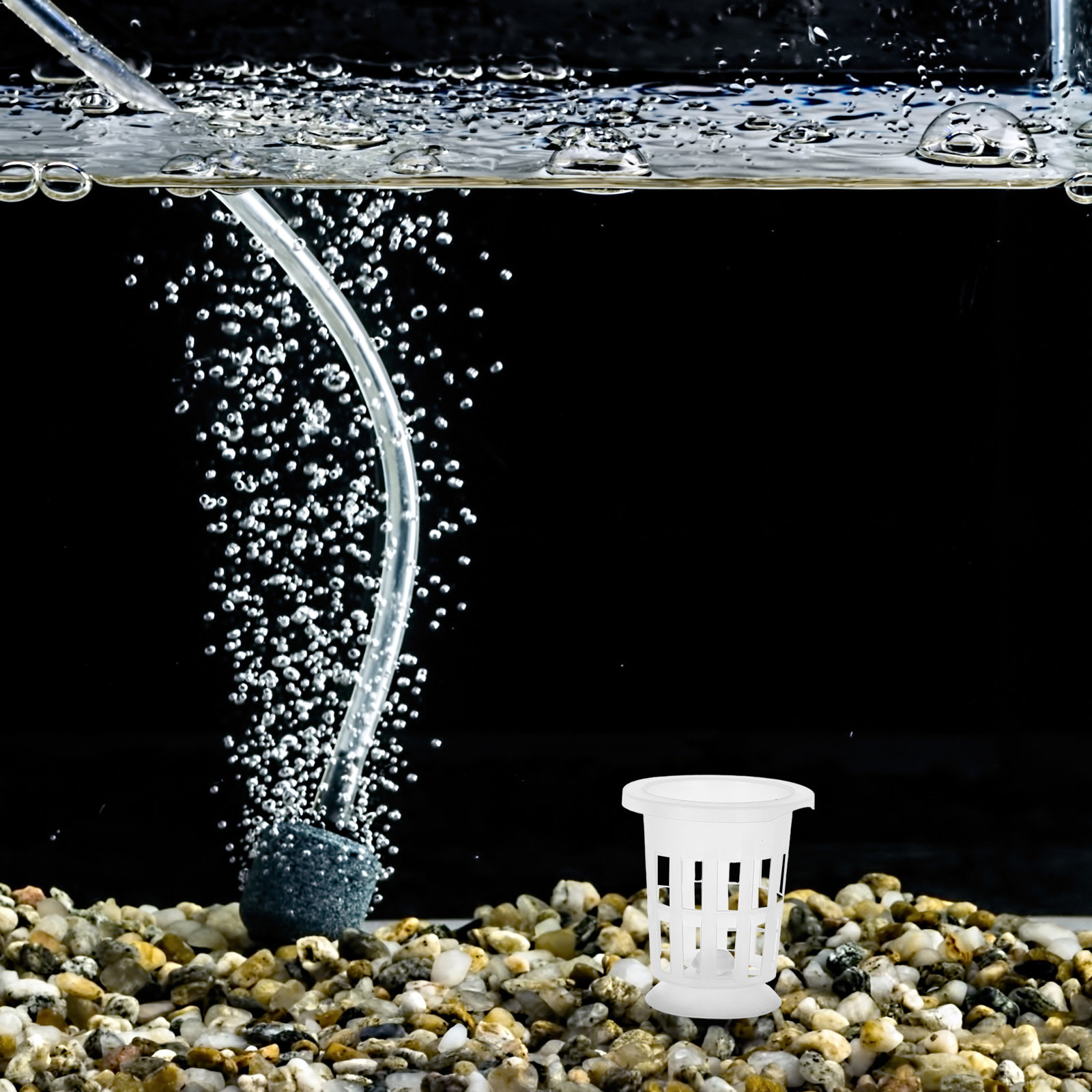 1Set Hydroponic Net Pot with S - đánh giá và giá Aquarium Plants