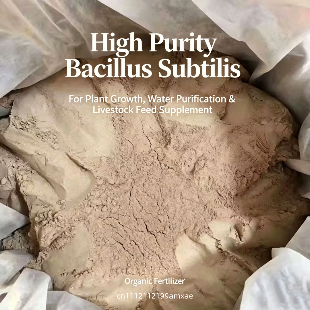 High Activity Bacillus Subtili - đánh giá và giá Aquarium Planted Soil