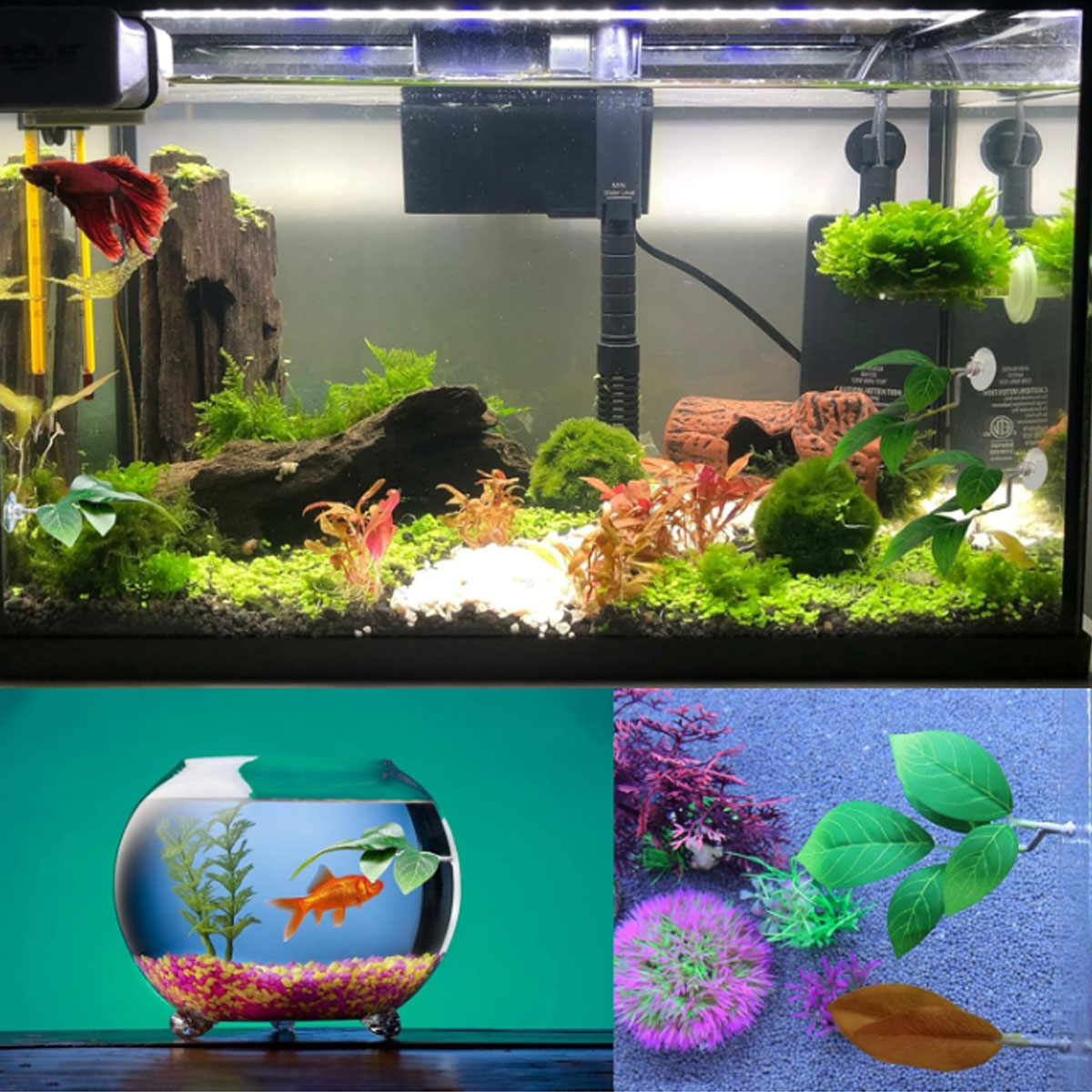 1 PC Betta Fish Hammock Soft A - đánh giá và giá Aquarium Plant Display