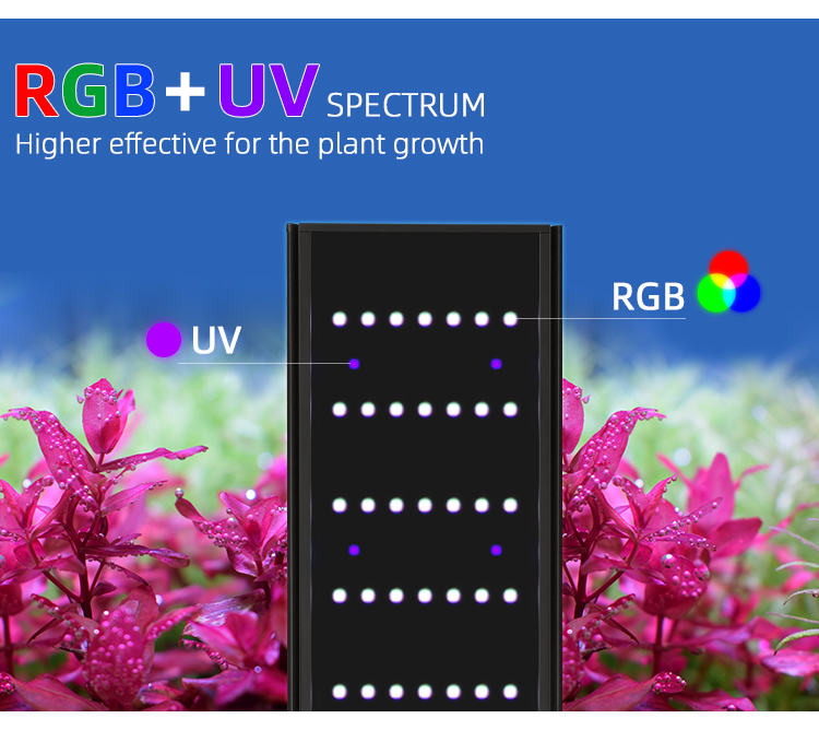 WEEK AQUA L Series APP Control - đánh giá và giá Aquarium Plant Display