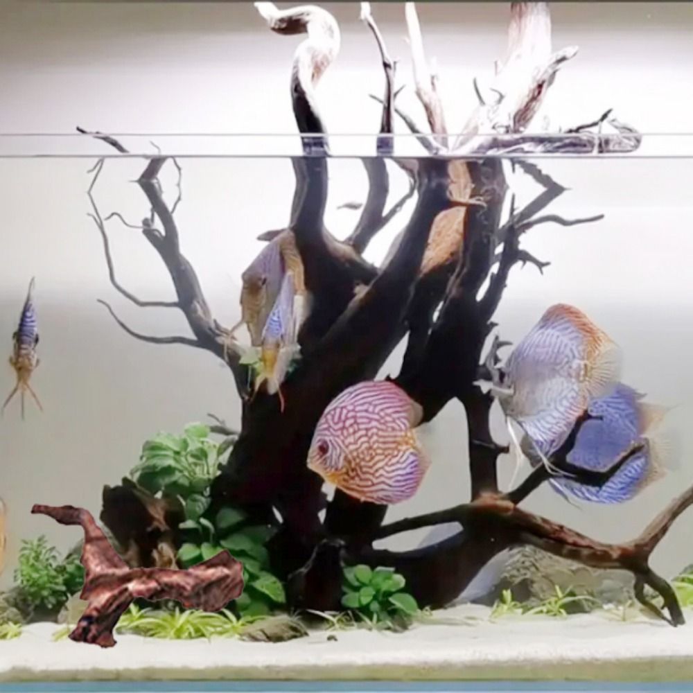 Creative Irregular Shape Coral - đánh giá và giá Aquarium Planted Soil