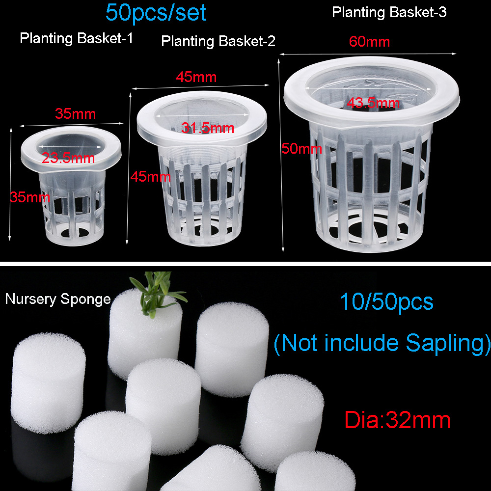 10/50pcs Garden Supplies Aquar - đánh giá và giá Aquarium Planted Seeds