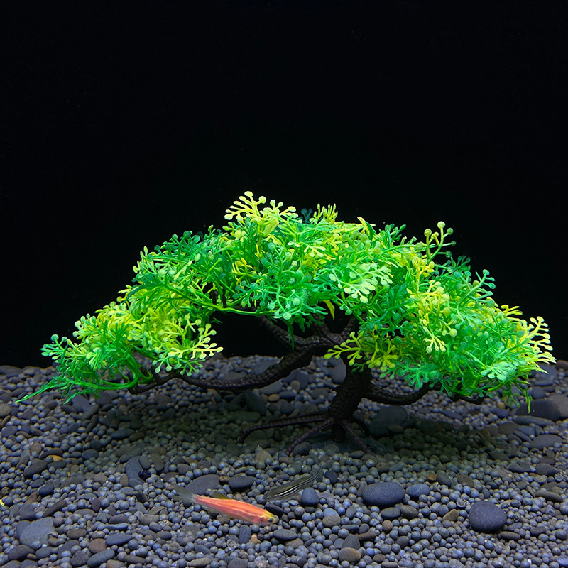 Aquarium bonsai tree, plant, f - đánh giá và giá Aquarium Planted Seeds
