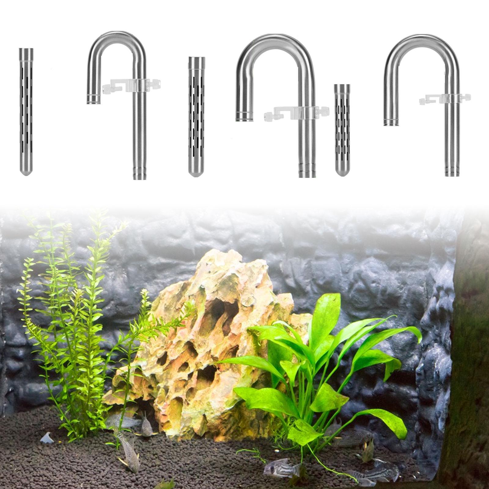 Universal Aquatic Lily Tube Se - đánh giá và giá Planted Aquarium Freshwater