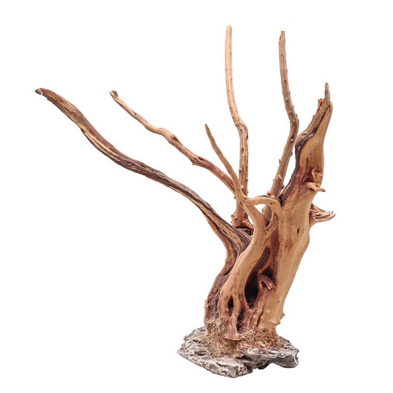 1 Bể Cá Cảnh Quan Gỗ Đồ Trang  - đánh giá và giá Aquarium Planted Soil