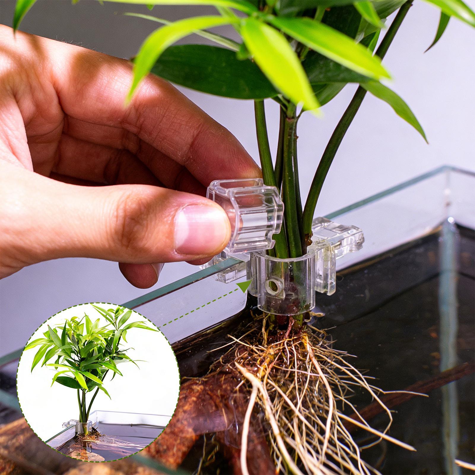 Fish Tank Plant Holder 6 Piece - đánh giá và giá Aquarium Planted Soil