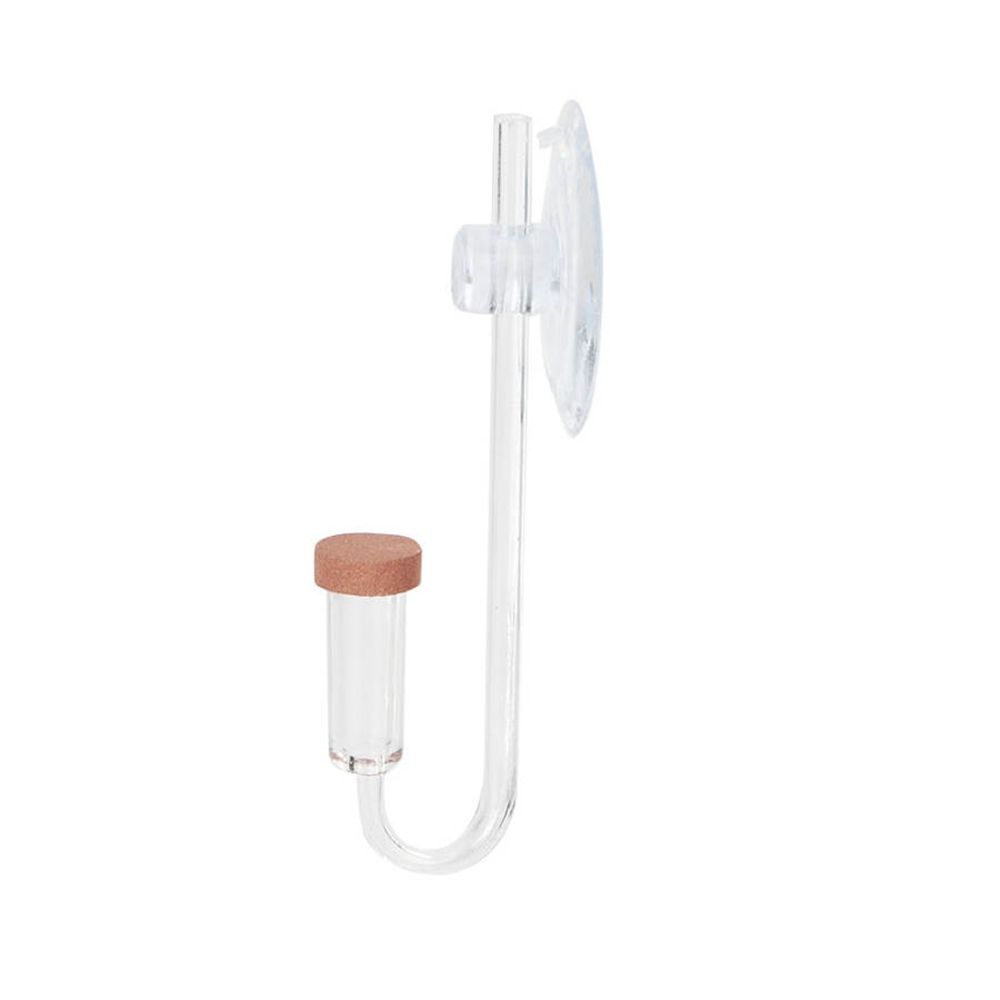 Acrylic Mini Fish Tank Live Pl - đánh giá và giá Planted Aquarium Accessories