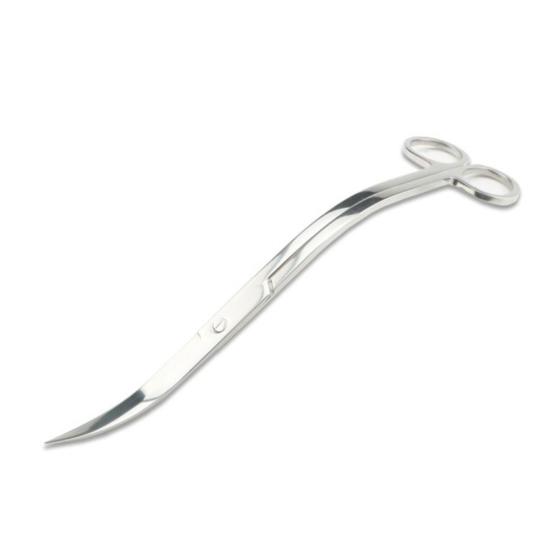 Aquarium Scissors Tweezers Too - đánh giá và giá Planted Aquarium Cleaning