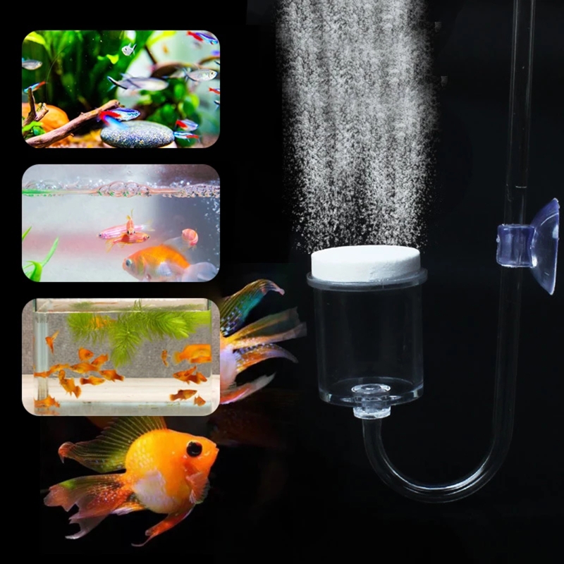 4pcs Set DIY CO2 Diffuser For  - đánh giá và giá Planted Aquarium Accessories
